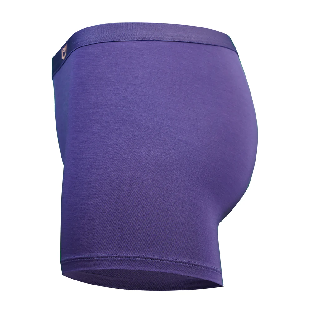 SHEATH Women's Bamboo Boxer Brief - Image 10